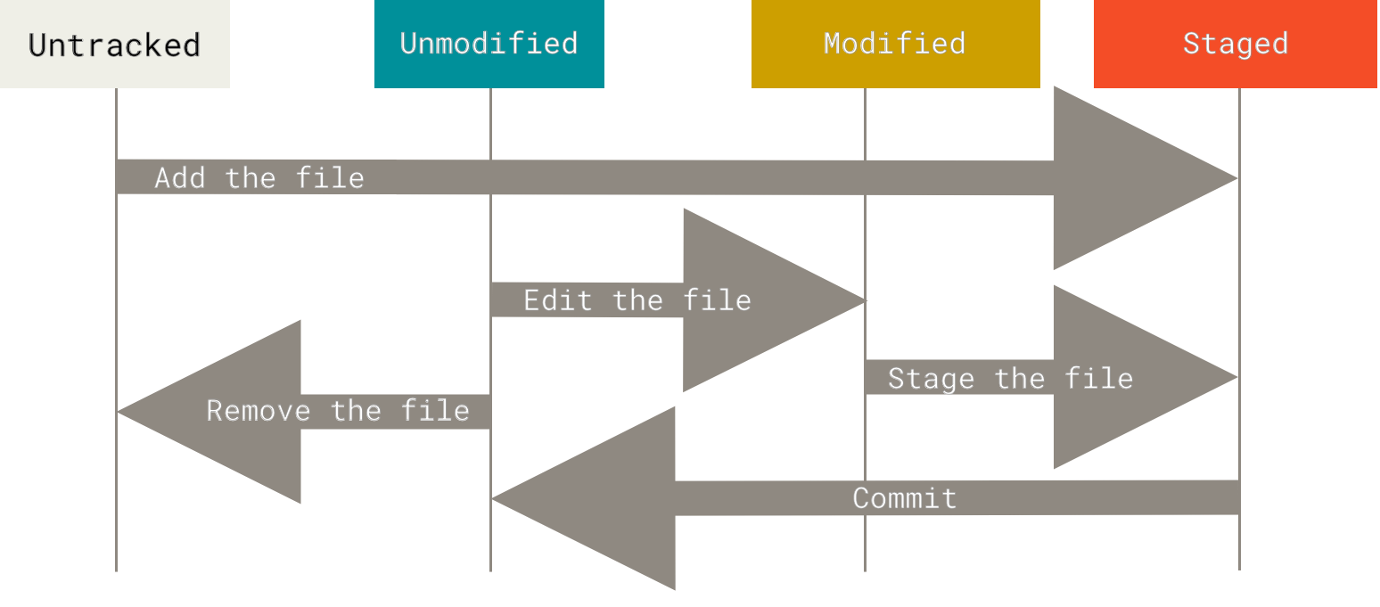Ciclo di vita di un file in Git